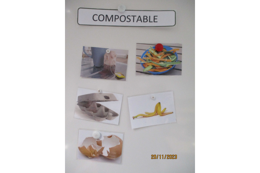 compostable2