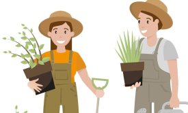 Troc plants