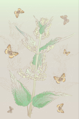 plantes