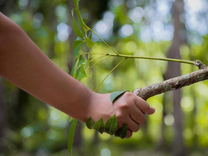 Entretien des espaces verts :  zéro phyto