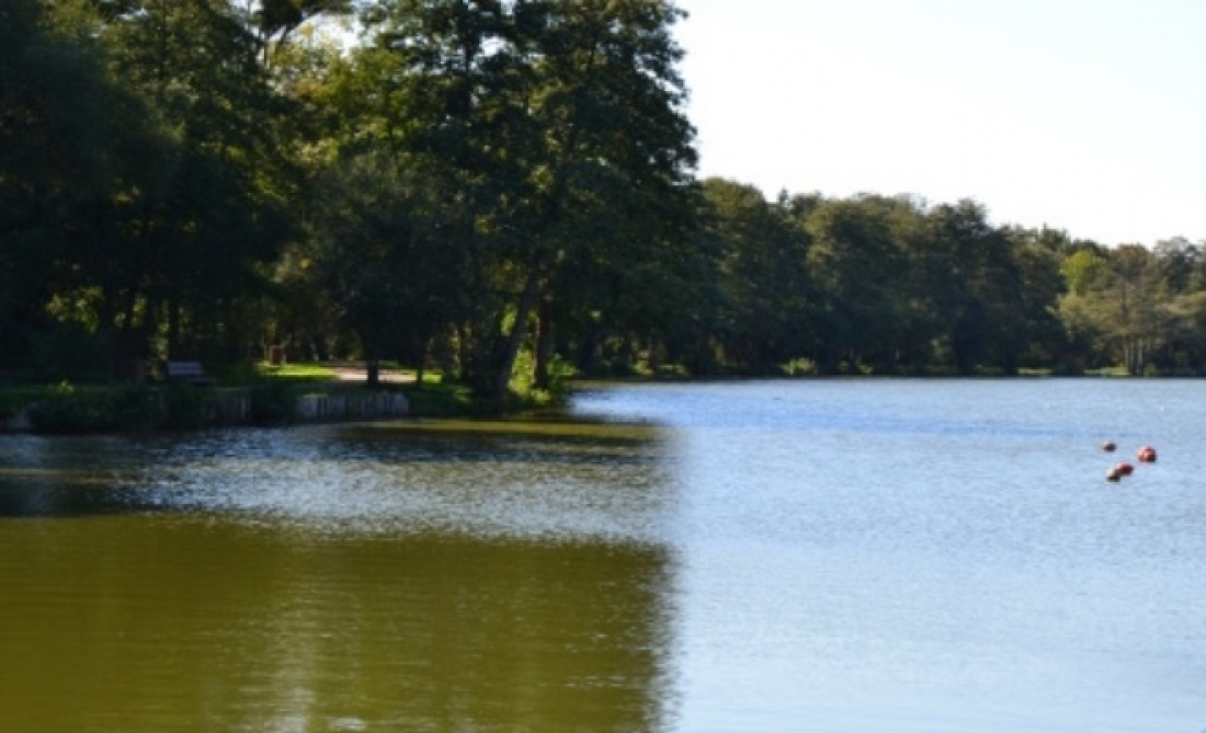 Actualités Les plans d’eau en Mayenne Mairie de Le GenestSaintIsle Actualités Les plans d’eau en Mayenne Mairie de Le GenestSaintIsle