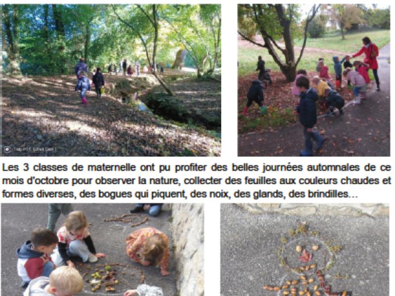 Sortie automnale pour l'école maternelle